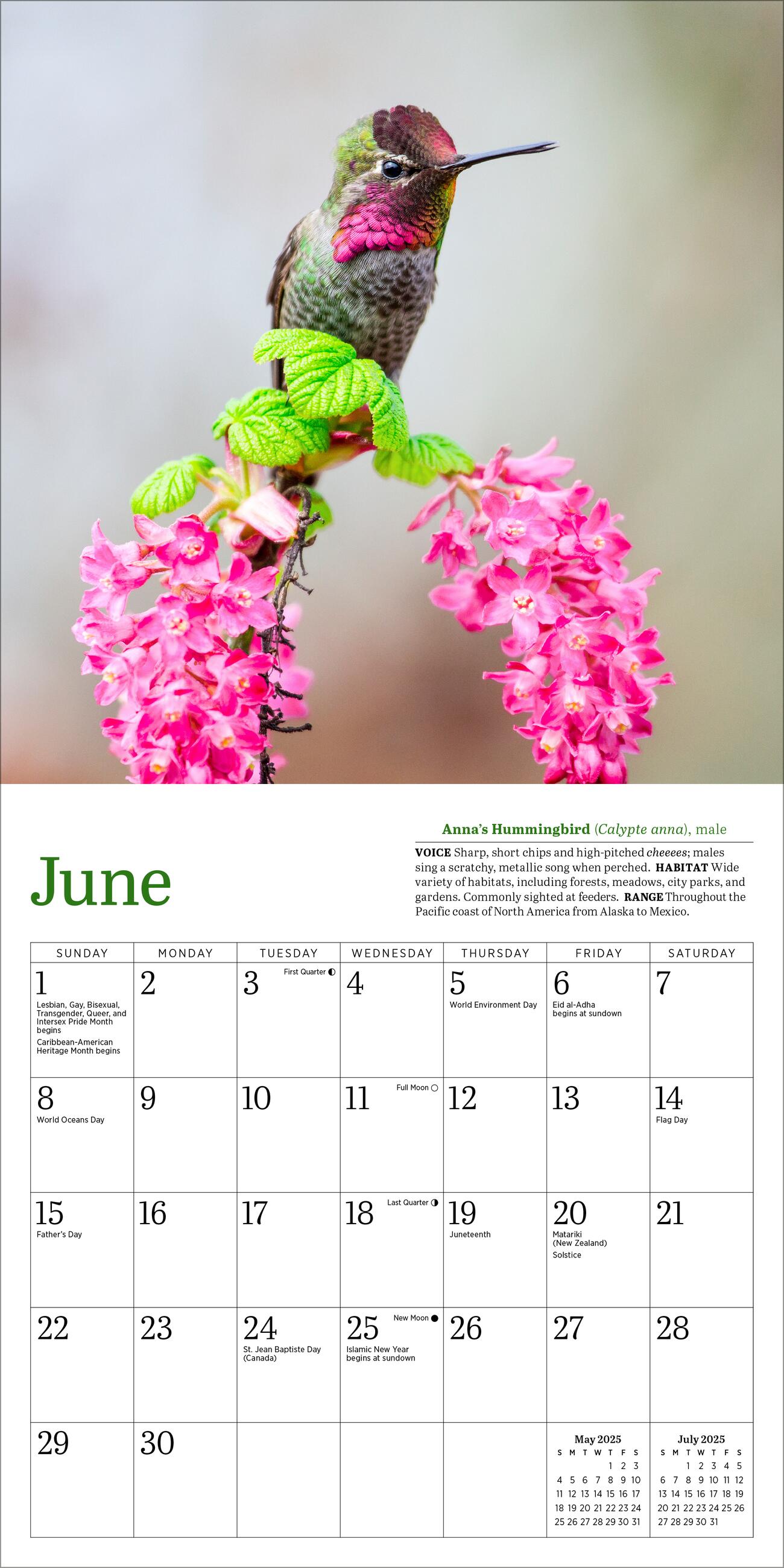 Audubon Hummingbirds 2025 Mini Wall Calendar    