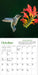 Audubon Hummingbirds 2025 Mini Wall Calendar    