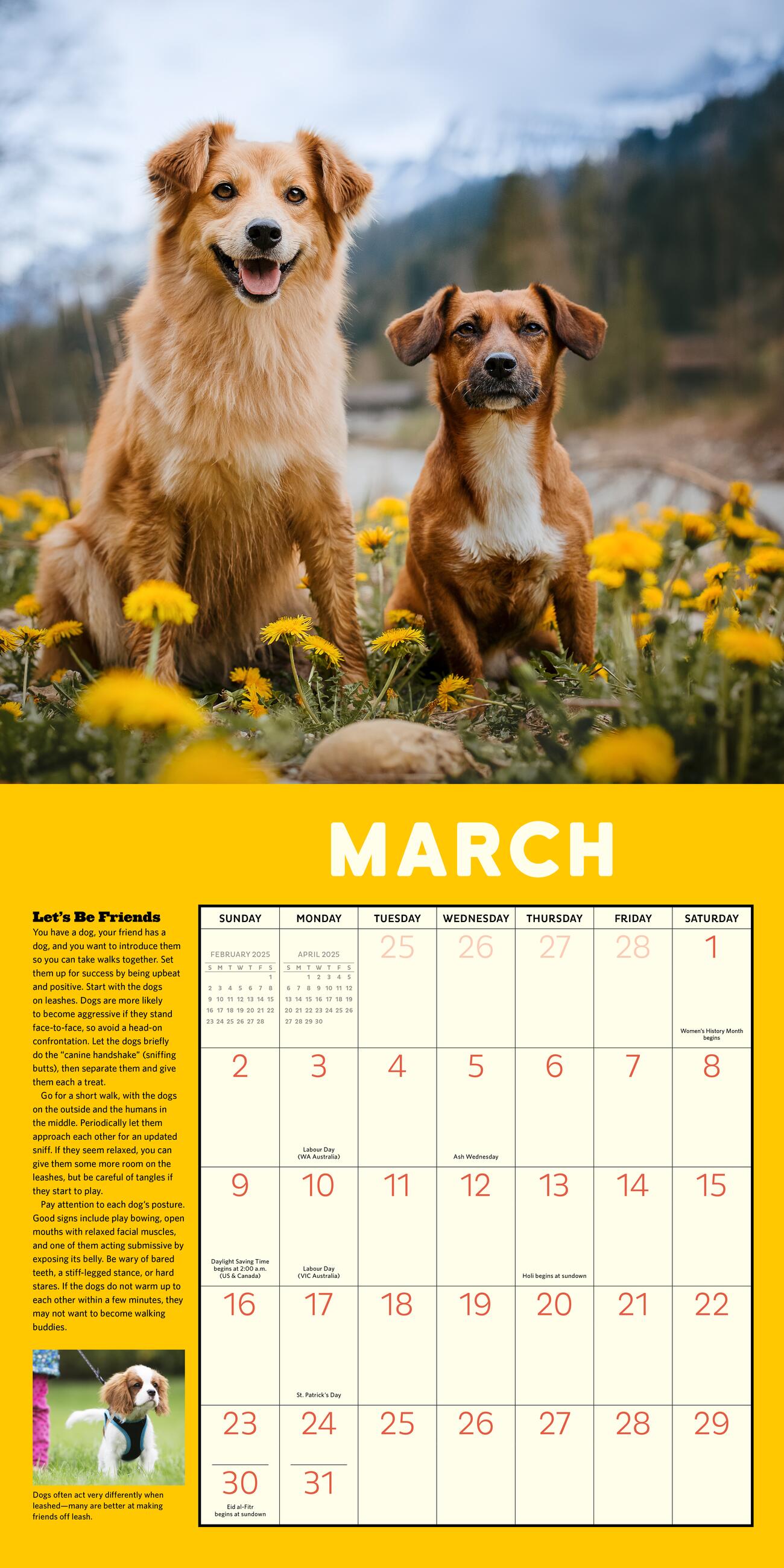 How To Speak Dog 2025 Wall Calendar    