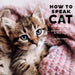 How To Speak Cat 2025 Wall Calendar    