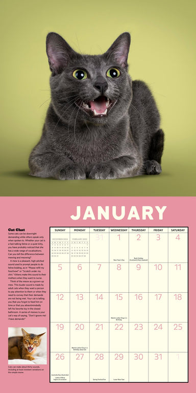 How To Speak Cat 2025 Wall Calendar    