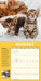 How To Speak Cat 2025 Wall Calendar    