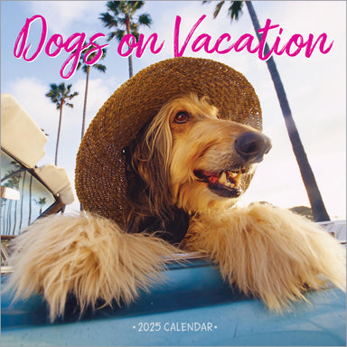 Dogs on Vacation 2025 Wall Calendar    