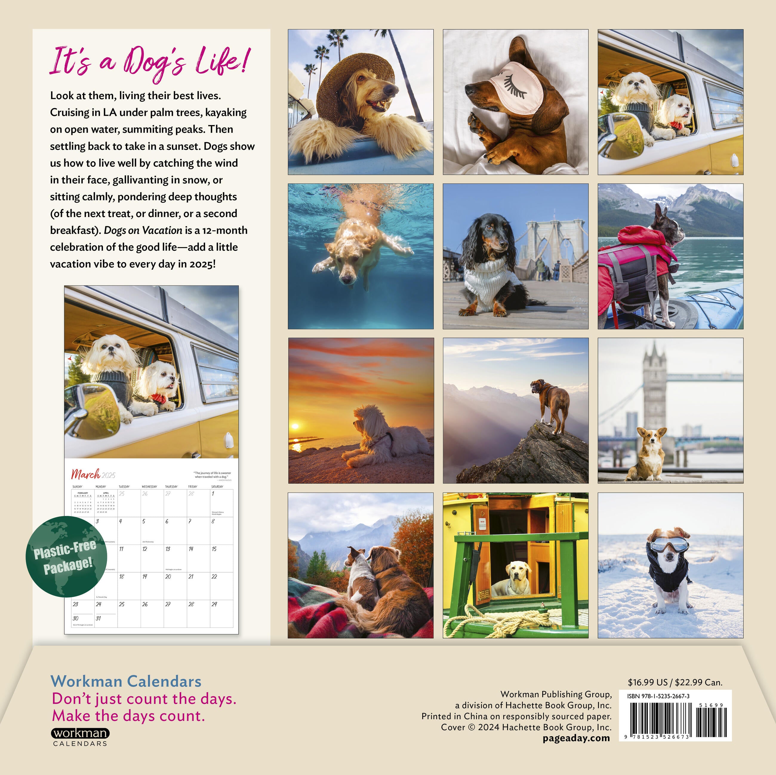 Dogs on Vacation 2025 Wall Calendar    