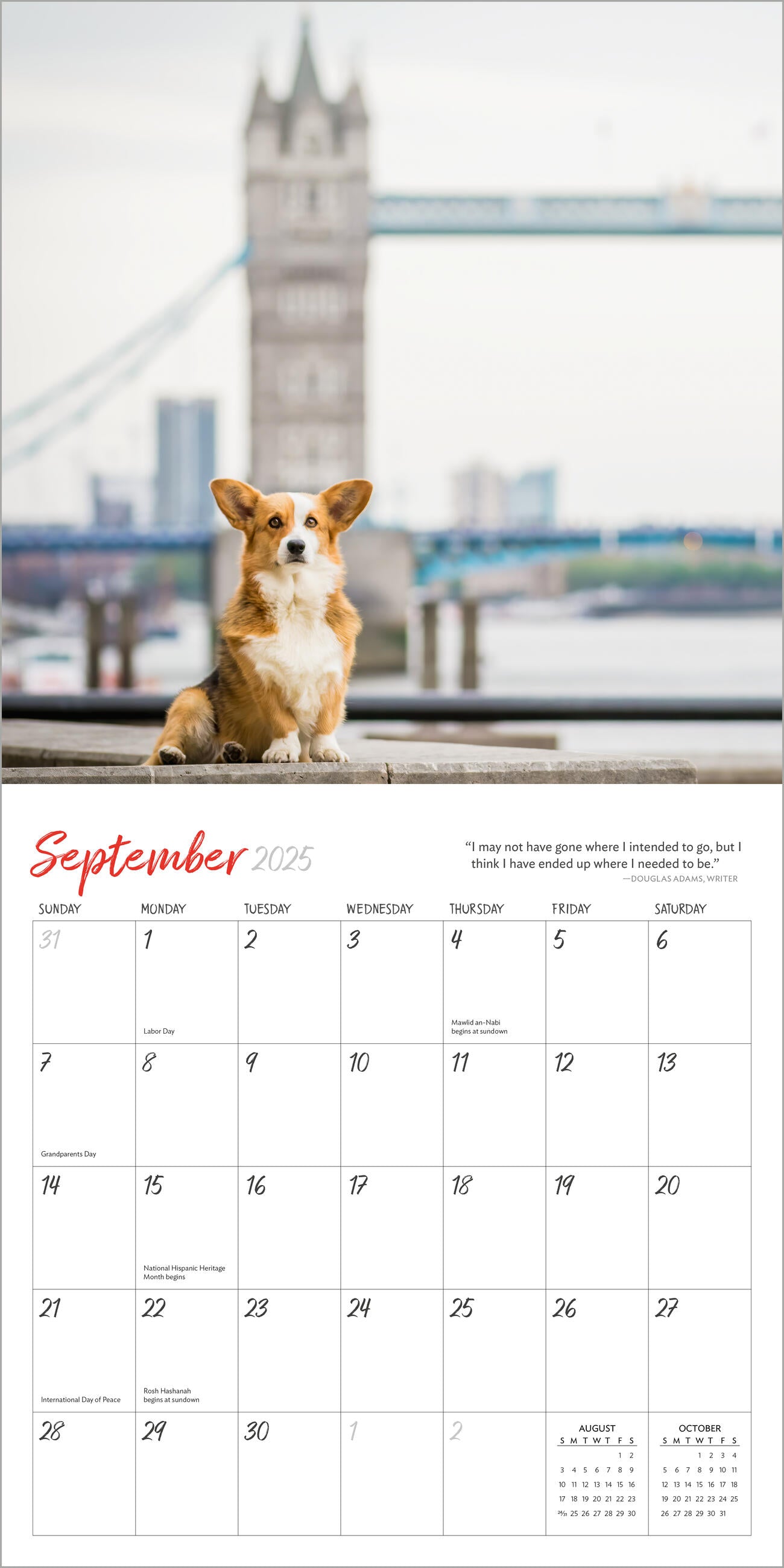 Dogs on Vacation 2025 Wall Calendar    