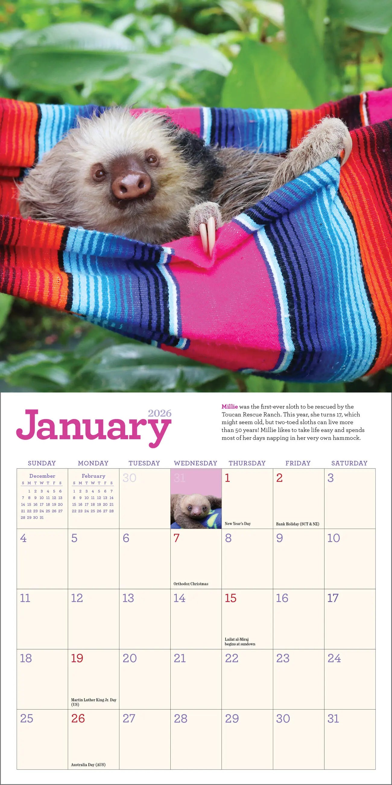 WRK Original Sloths 2026 Mini Wall Calendar
