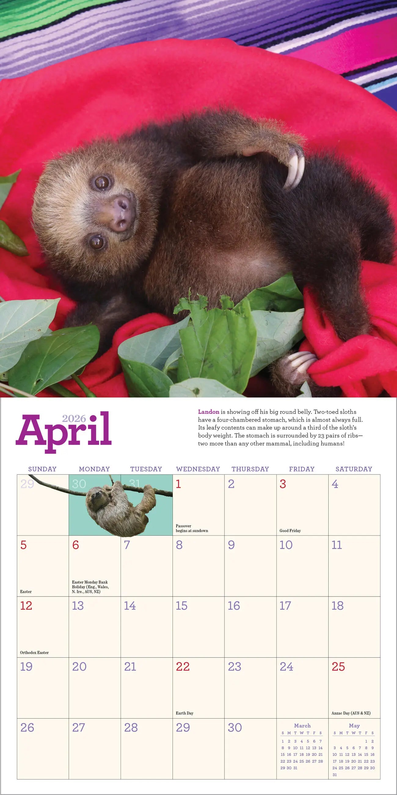 WRK Original Sloths 2026 Mini Wall Calendar