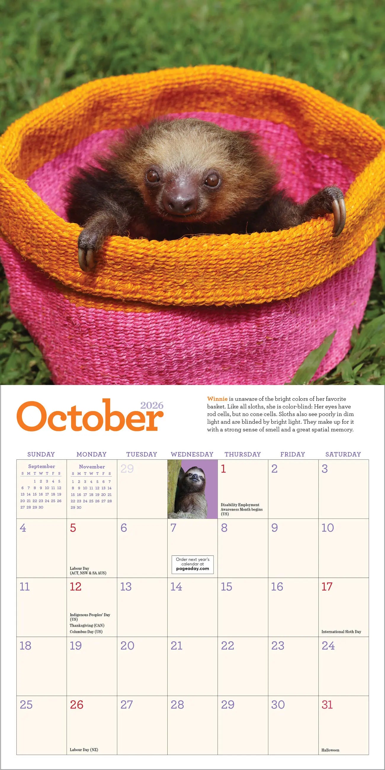 WRK Original Sloths 2026 Mini Wall Calendar