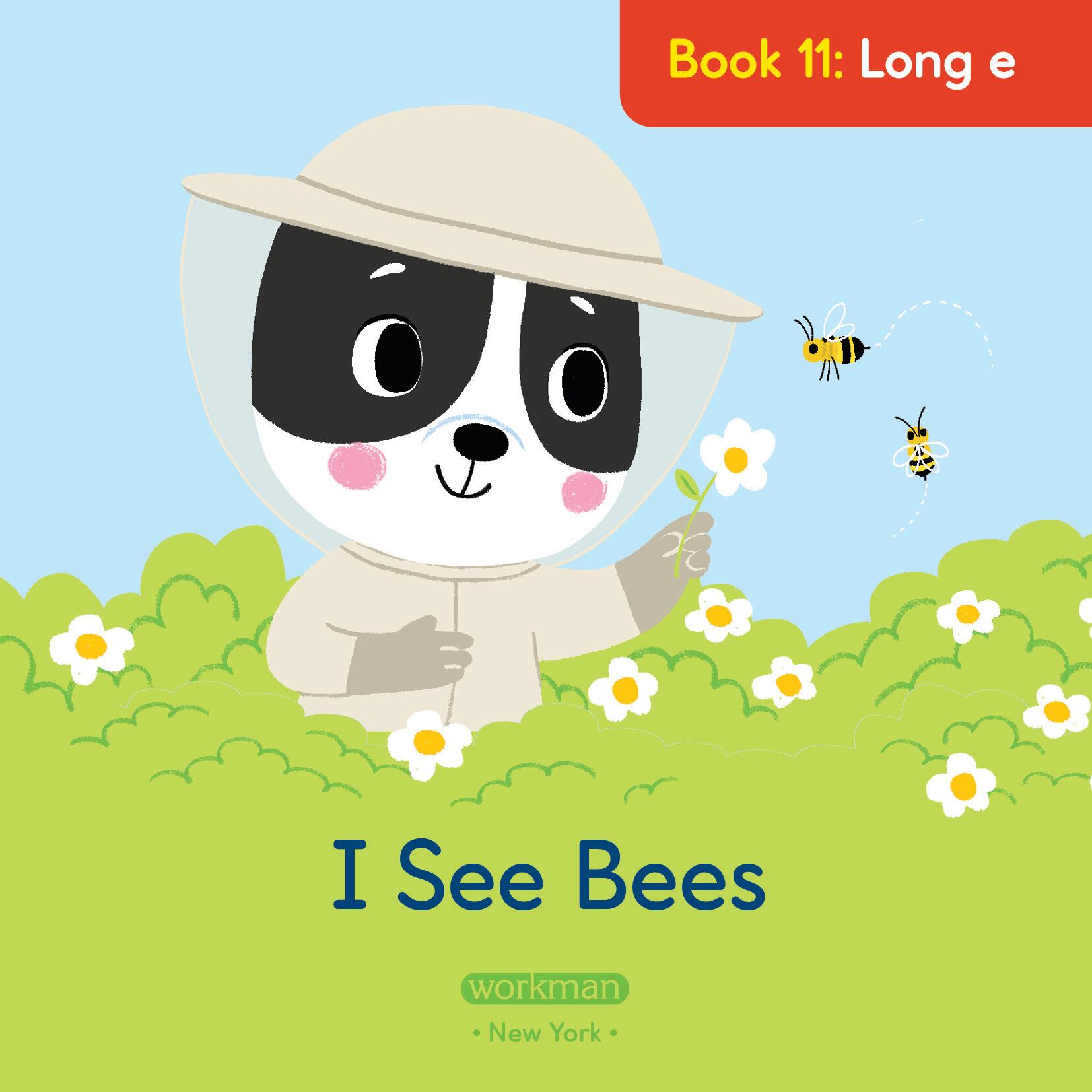 Brain Quest Phonics Readers: Set 1 Long and Short Vowels