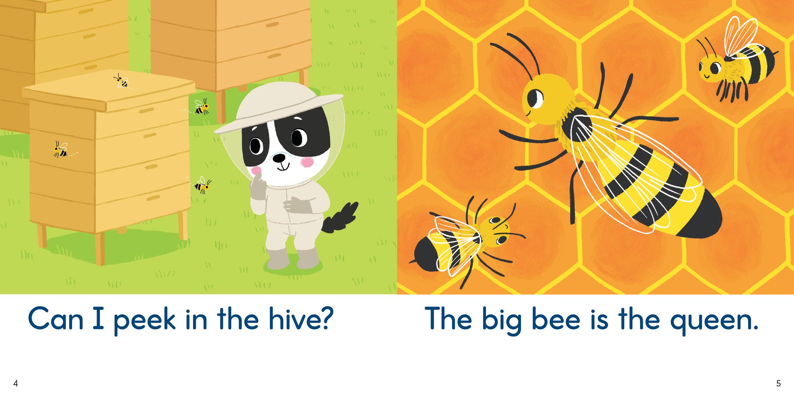 Brain Quest Phonics Readers: Set 1 Long and Short Vowels