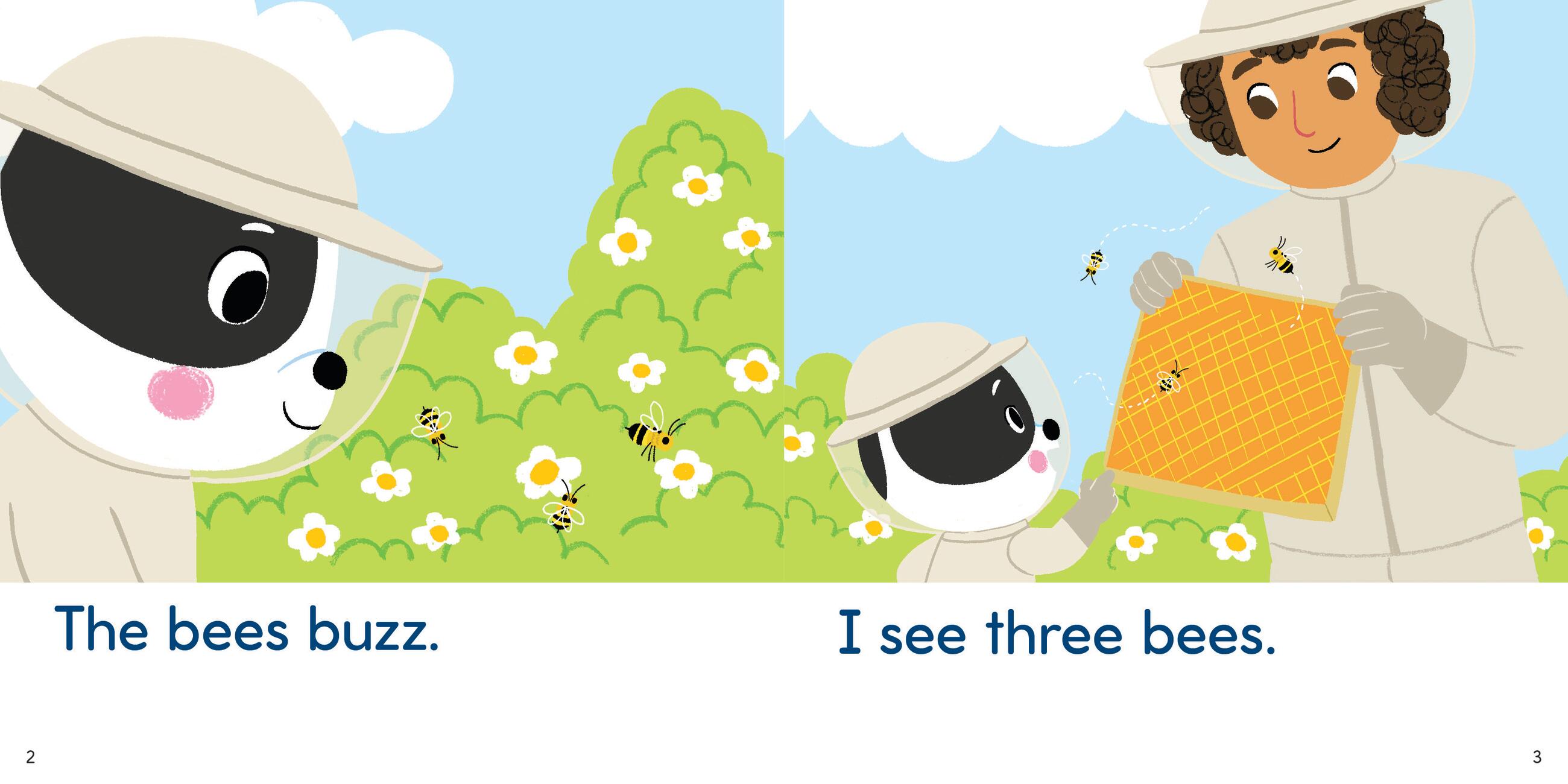 Brain Quest Phonics Readers: Set 1 Long and Short Vowels