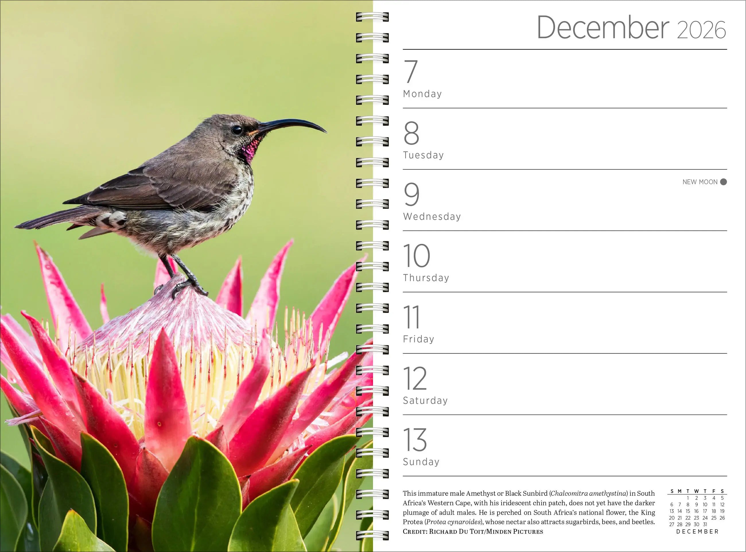Audubon 2026 Engagement Calendar
