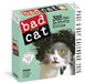 Bad Cat 2026 Page-a-Day Calendar
