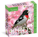 Audubon Birds 2026 Page-a-Day Calendar