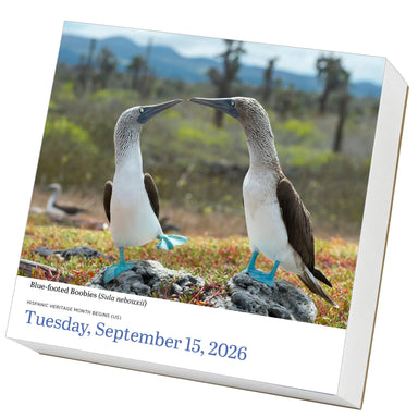 Audubon Birds 2026 Page-a-Day Calendar