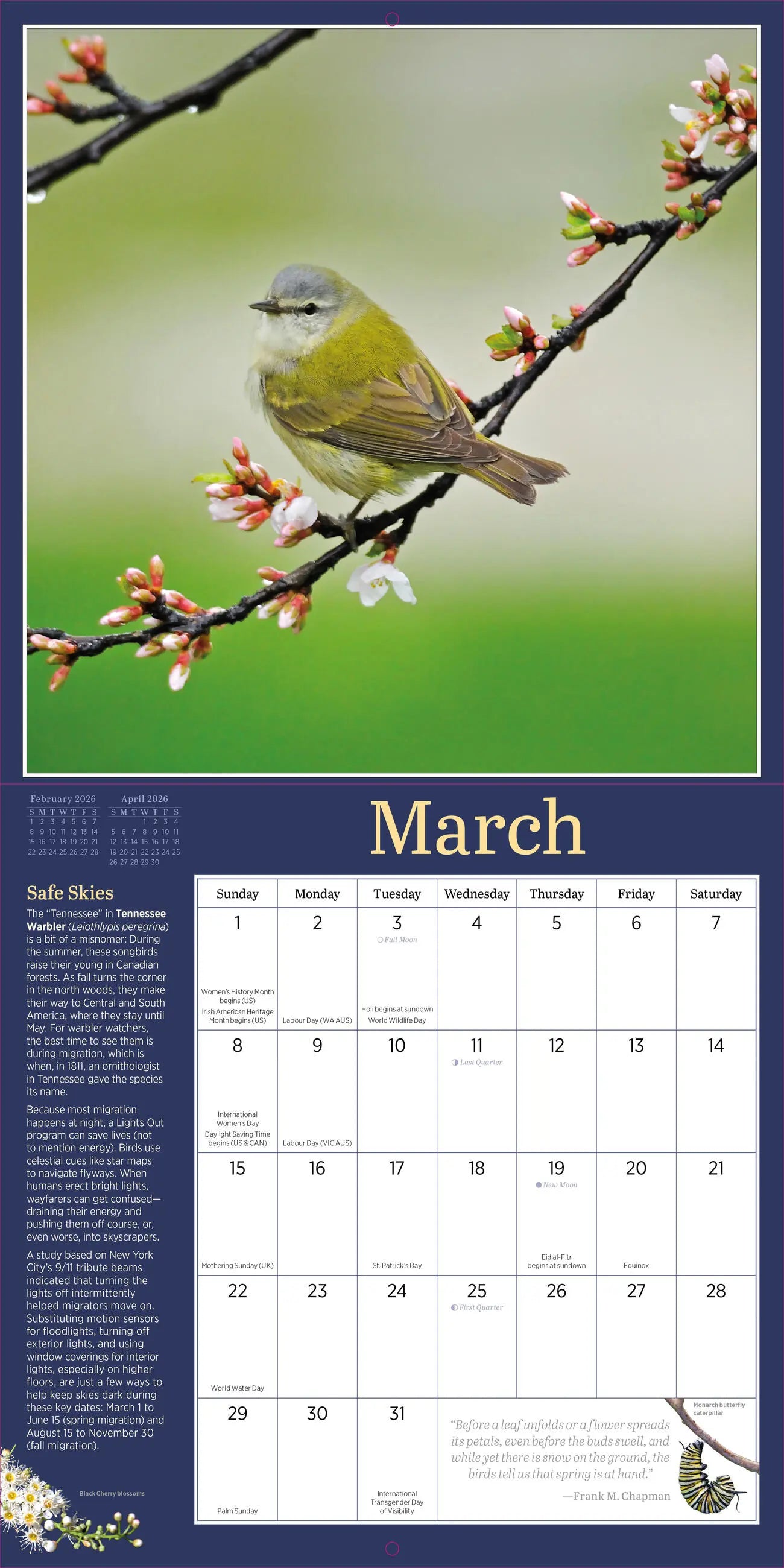 Audubon Birds in the Garden 2026 Wall Calendar
