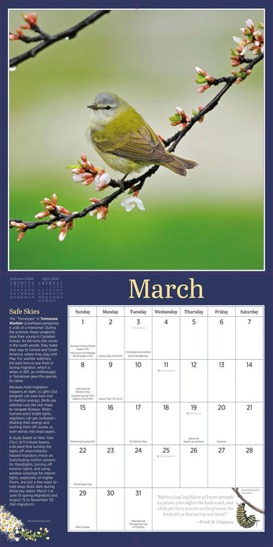 Audubon Birds in the Garden 2026 Wall Calendar