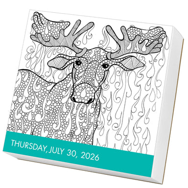 Calm Coloring 2026 Page-a-Day Calendar