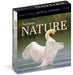 Audubon Nature 2026 Page-to-Day Gallery Calendar