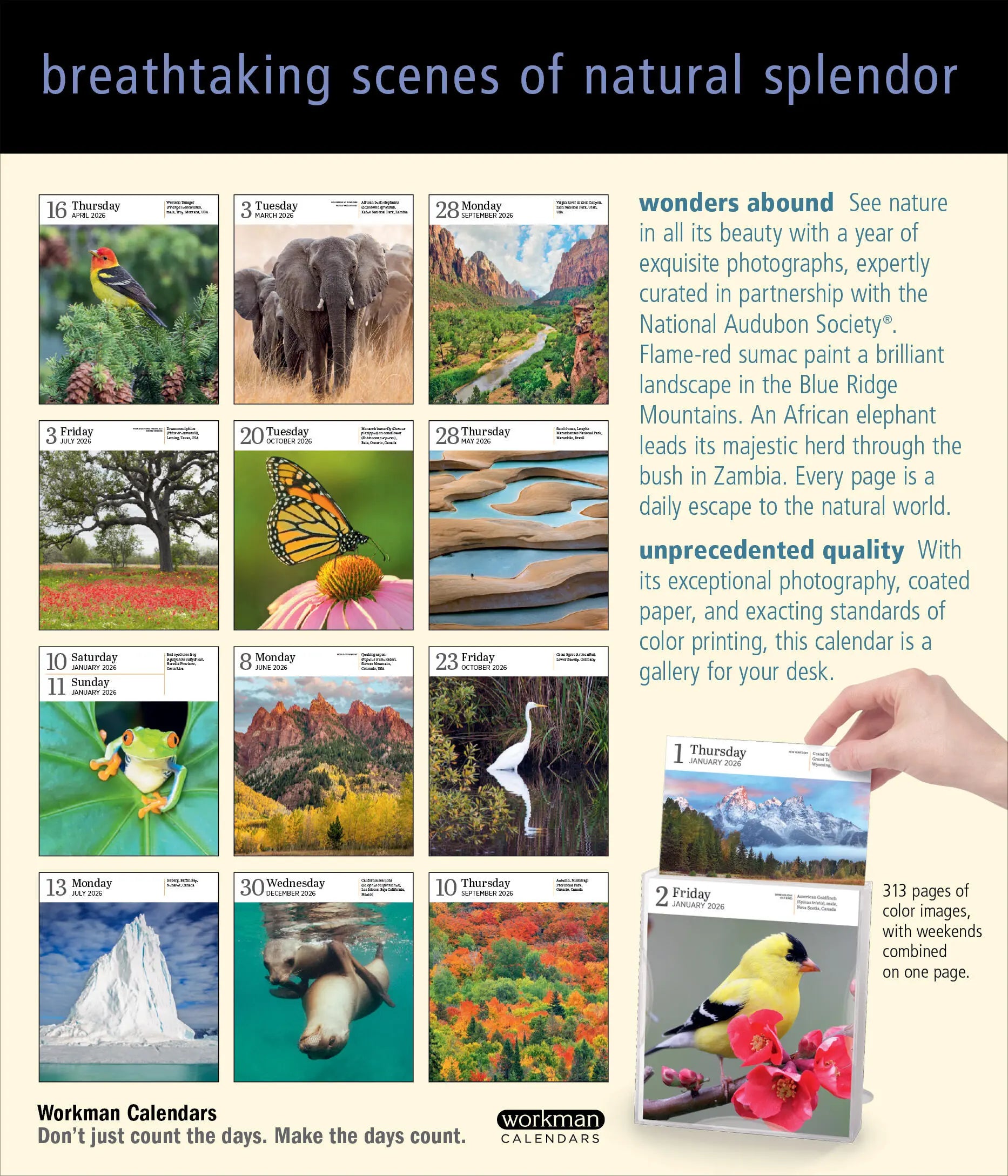 Audubon Nature 2026 Page-to-Day Gallery Calendar