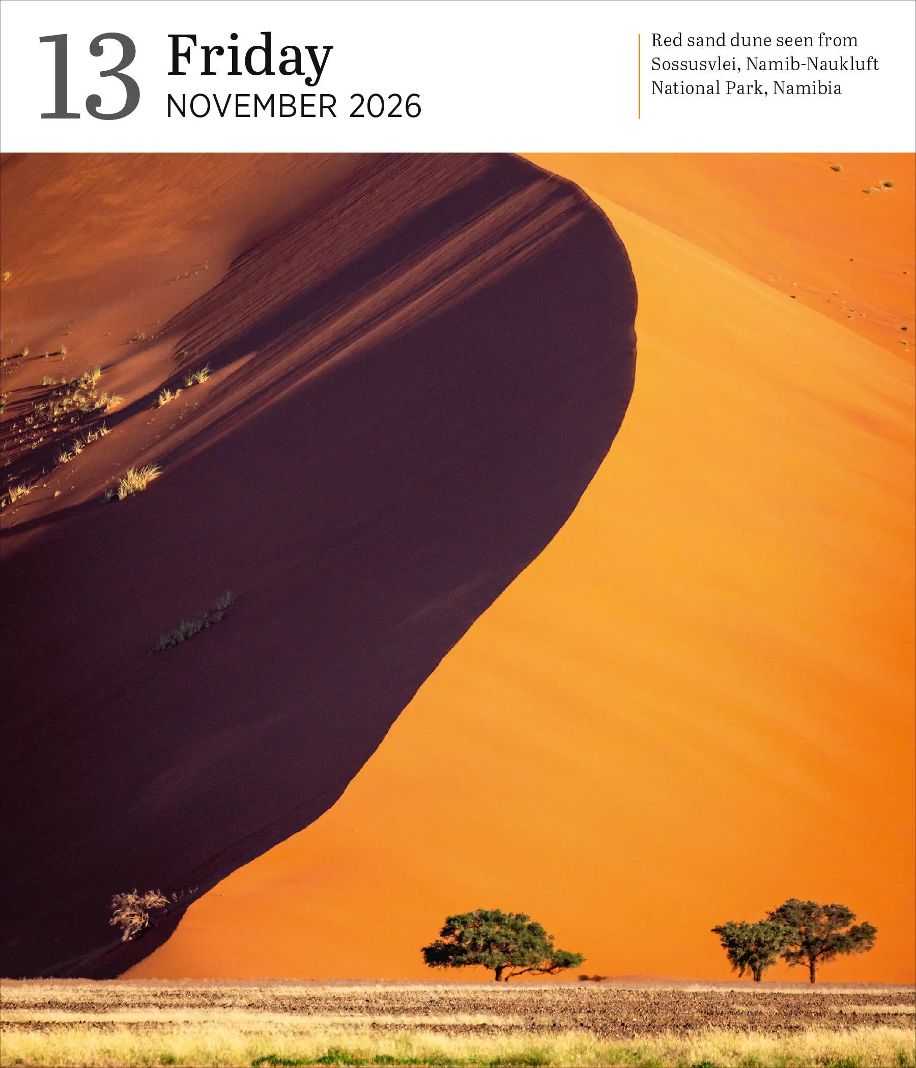 Audubon Nature 2026 Page-to-Day Gallery Calendar