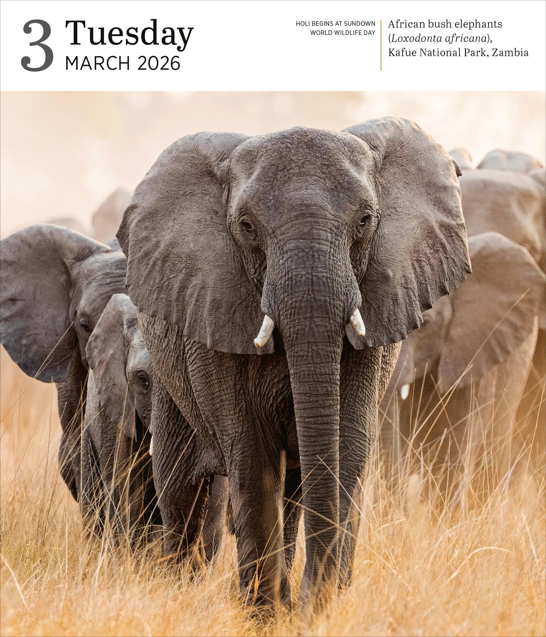 Audubon Nature 2026 Page-to-Day Gallery Calendar