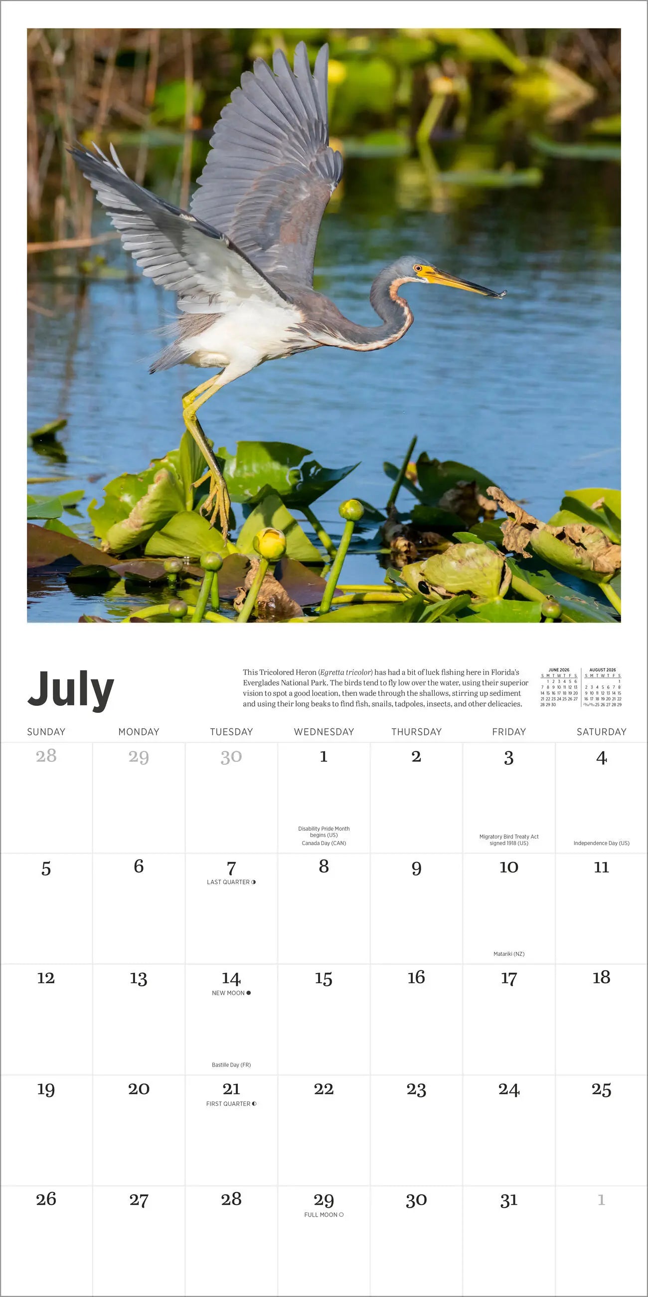 Audubon Nature 2026 Wall Calendar