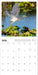Audubon Nature 2026 Wall Calendar