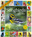 Audubon Songbirds and Other Backyard Birds 2026 Picture-a-Day Wall Calendar