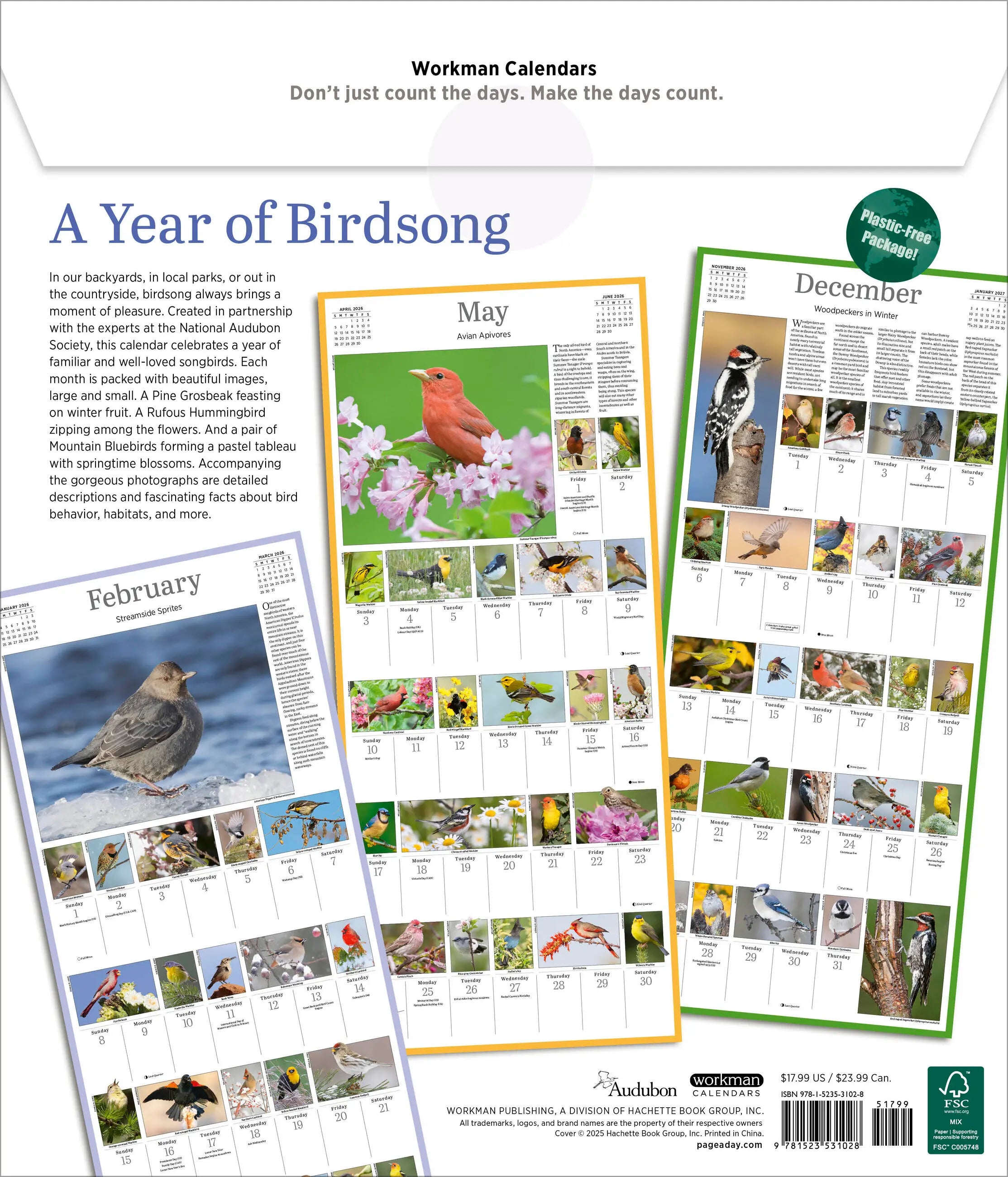 Audubon Songbirds and Other Backyard Birds 2026 Picture-a-Day Wall Calendar