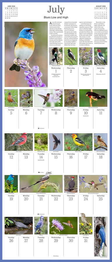 Audubon Songbirds and Other Backyard Birds 2026 Picture-a-Day Wall Calendar
