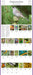 Audubon Songbirds and Other Backyard Birds 2026 Picture-a-Day Wall Calendar