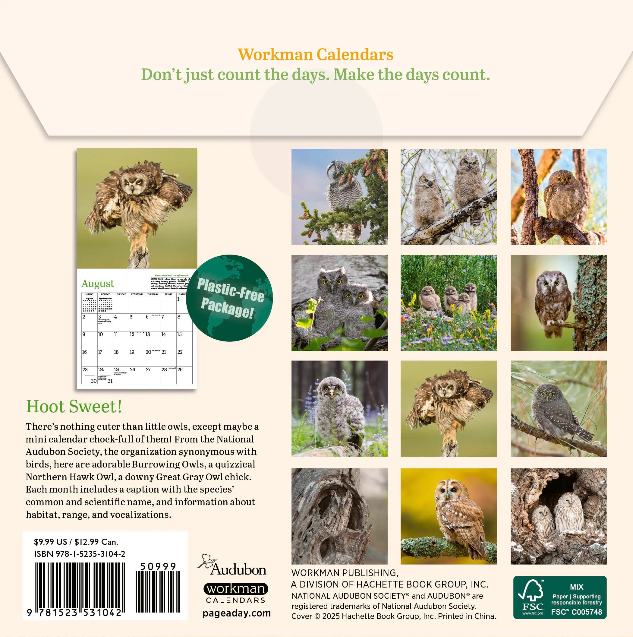 Audubon Little Owls 2026 Mini Wall Calendar