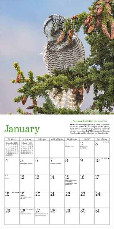 Audubon Little Owls 2026 Mini Wall Calendar
