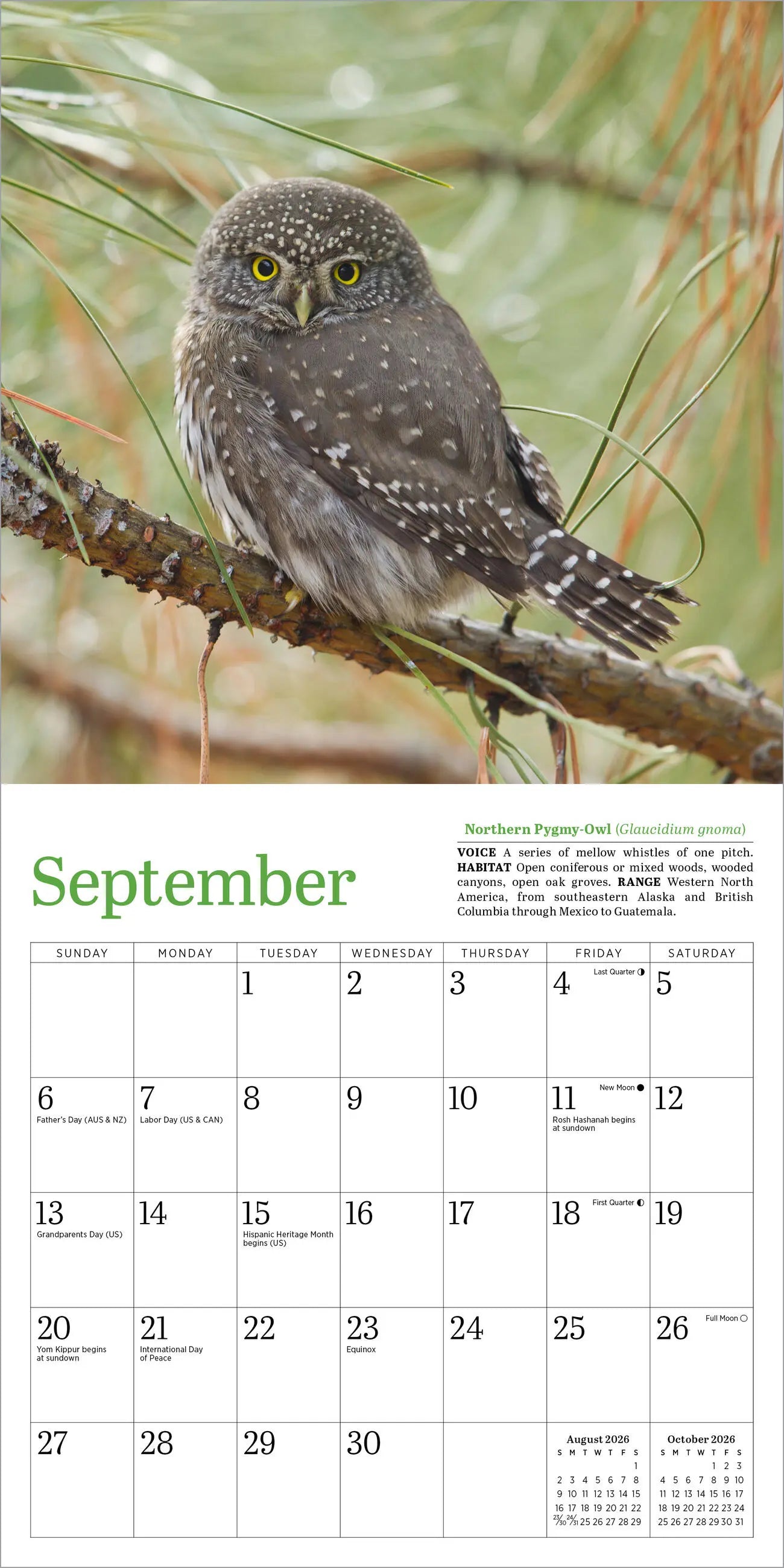 Audubon Little Owls 2026 Mini Wall Calendar