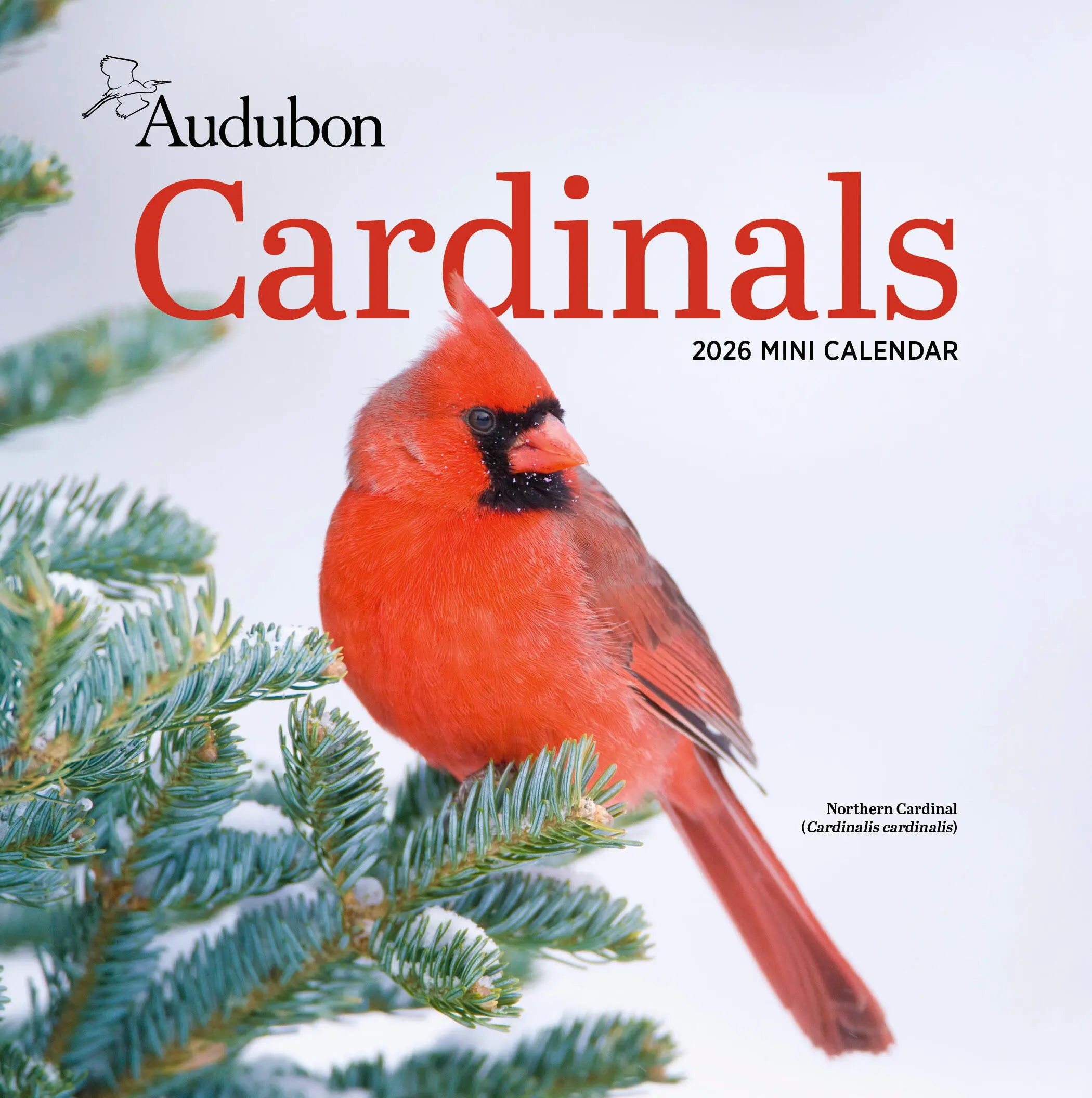 Audubon Cardinals 2026 Mini Wall Calendar