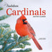 Audubon Cardinals 2026 Mini Wall Calendar