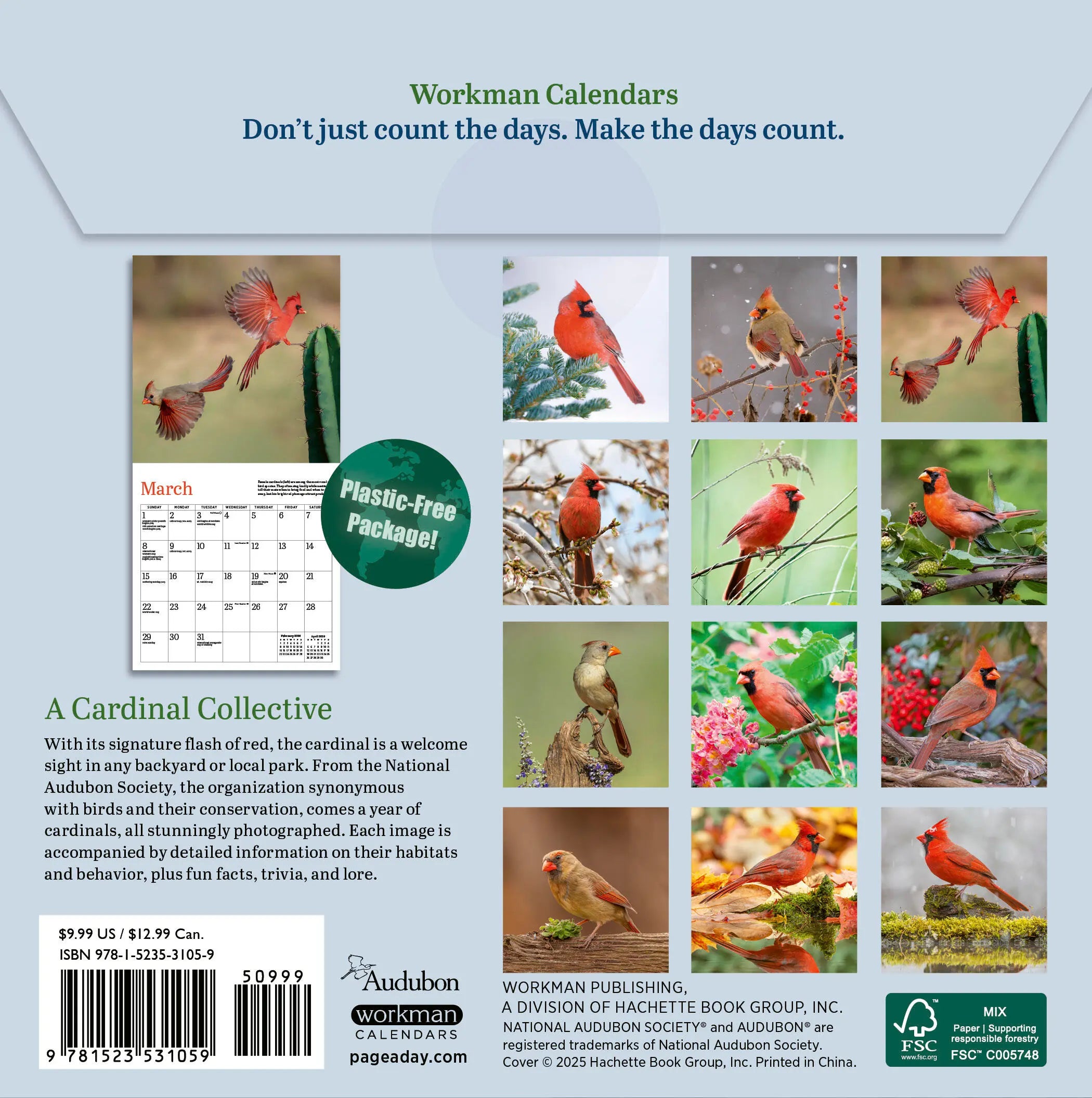Audubon Cardinals 2026 Mini Wall Calendar