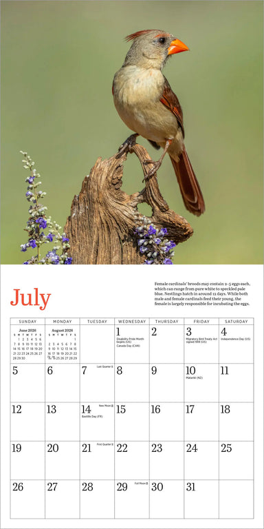 Audubon Cardinals 2026 Mini Wall Calendar
