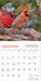 Audubon Cardinals 2026 Mini Wall Calendar
