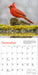 Audubon Cardinals 2026 Mini Wall Calendar
