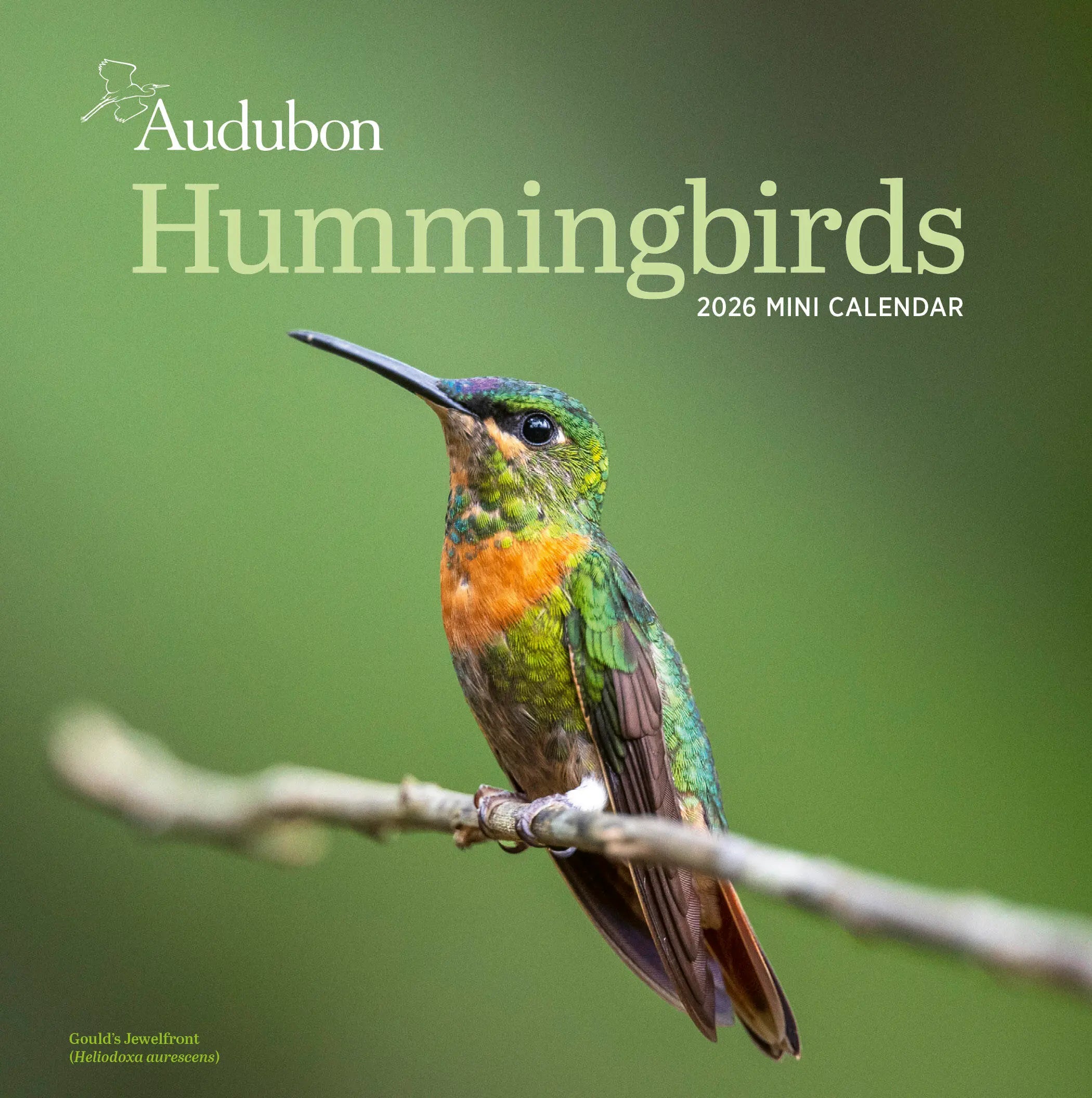Audubon Hummingbirds 2026 Mini Wall Calendar