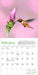 Audubon Hummingbirds 2026 Mini Wall Calendar
