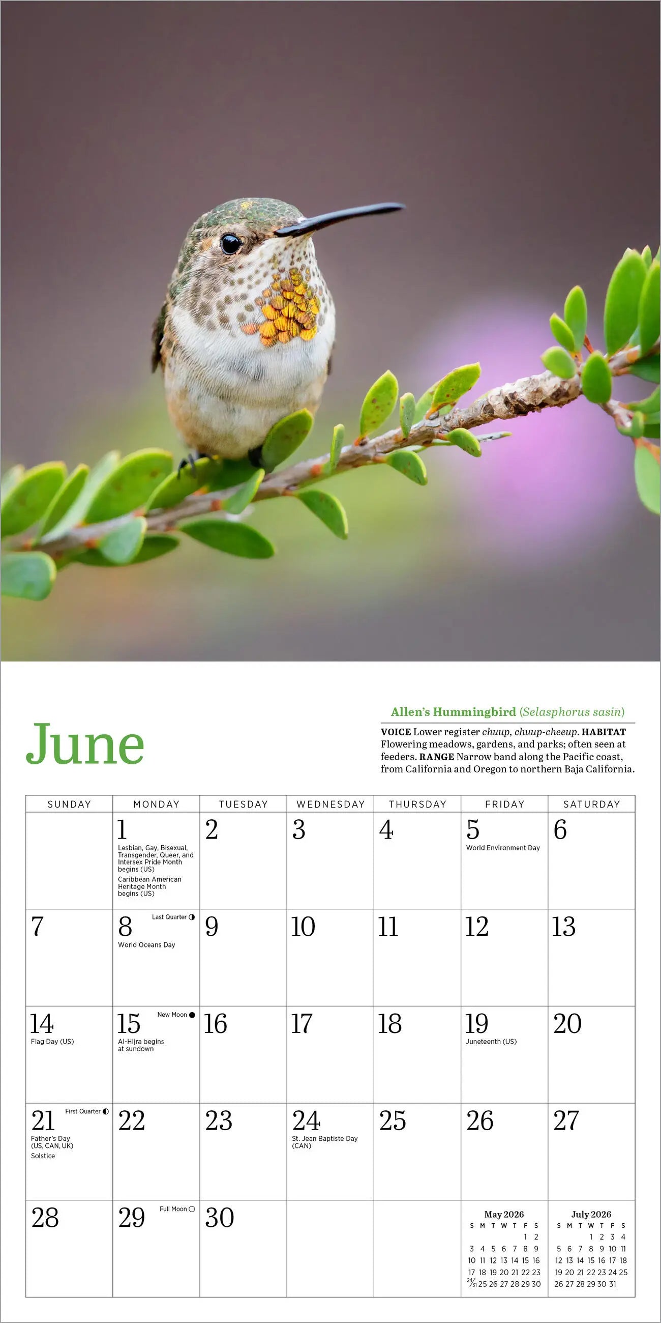Audubon Hummingbirds 2026 Mini Wall Calendar