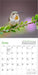Audubon Hummingbirds 2026 Mini Wall Calendar