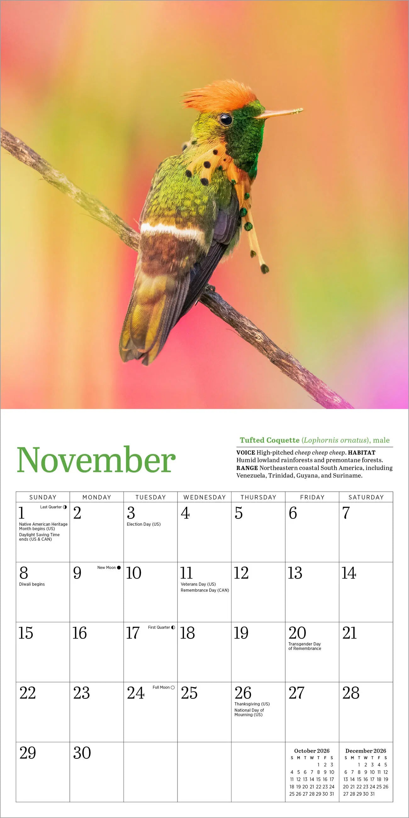 Audubon Hummingbirds 2026 Mini Wall Calendar