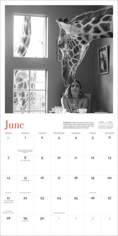 Giraffe Manor 2026 Wall Calendar