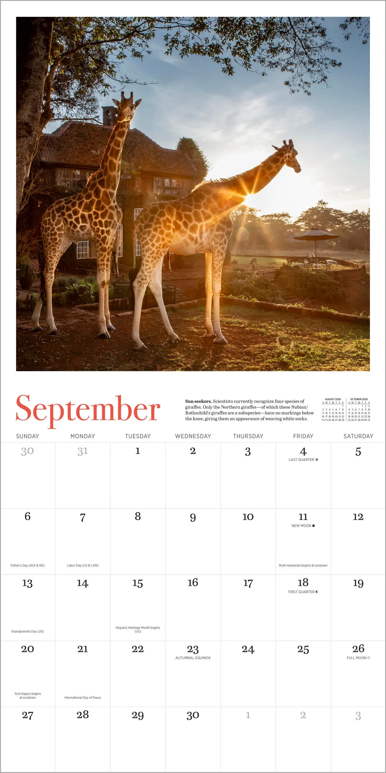Giraffe Manor 2026 Wall Calendar