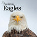 Audubon Eagles 2026 Mini Wall Calendar