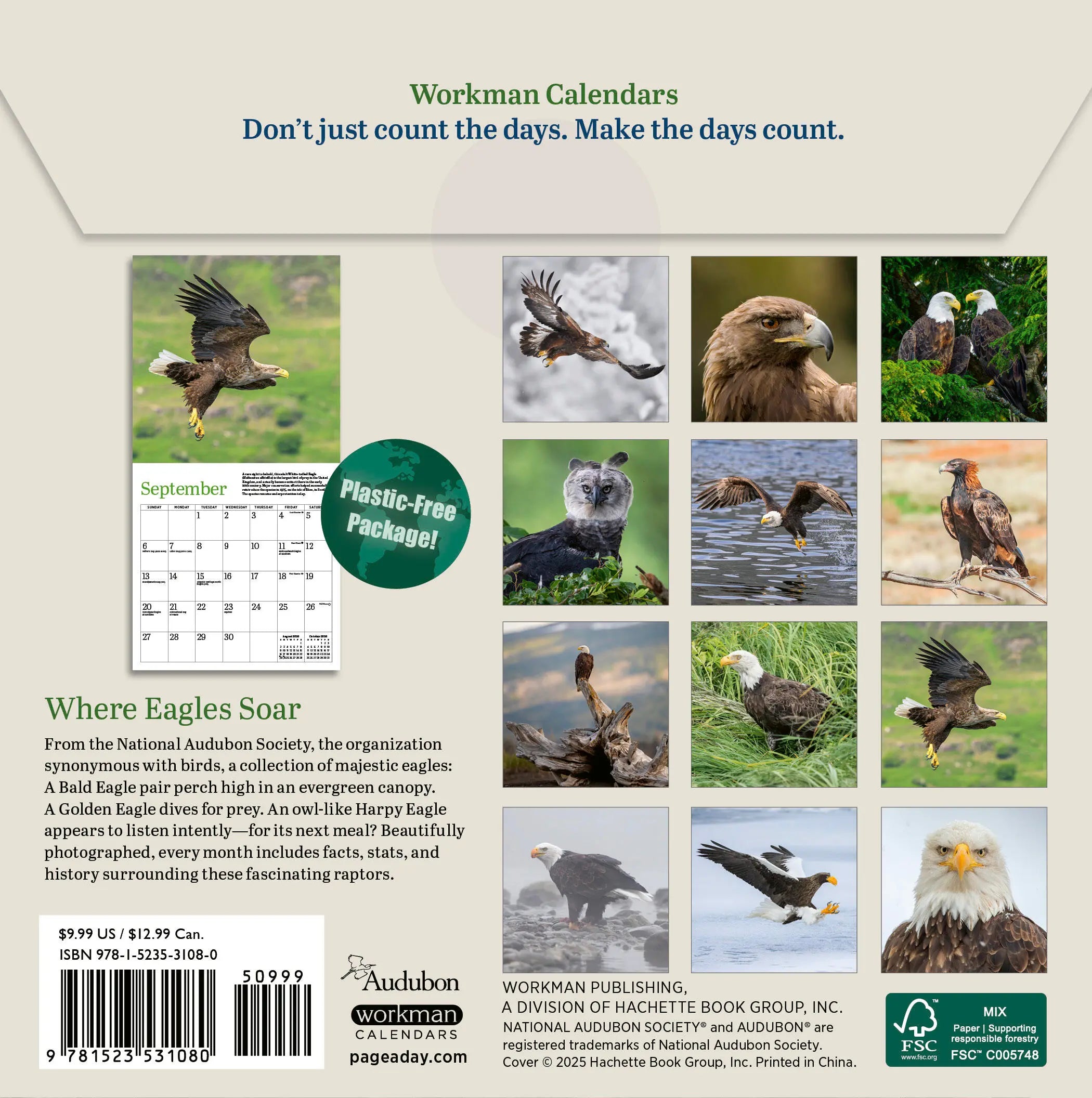 Audubon Eagles 2026 Mini Wall Calendar